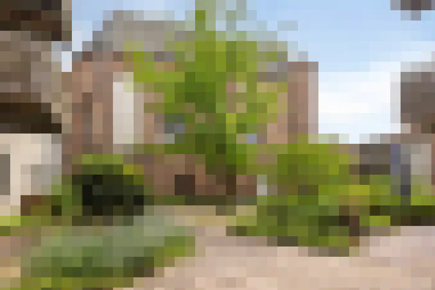 Infirmerie 15 Grave thumbnail 29