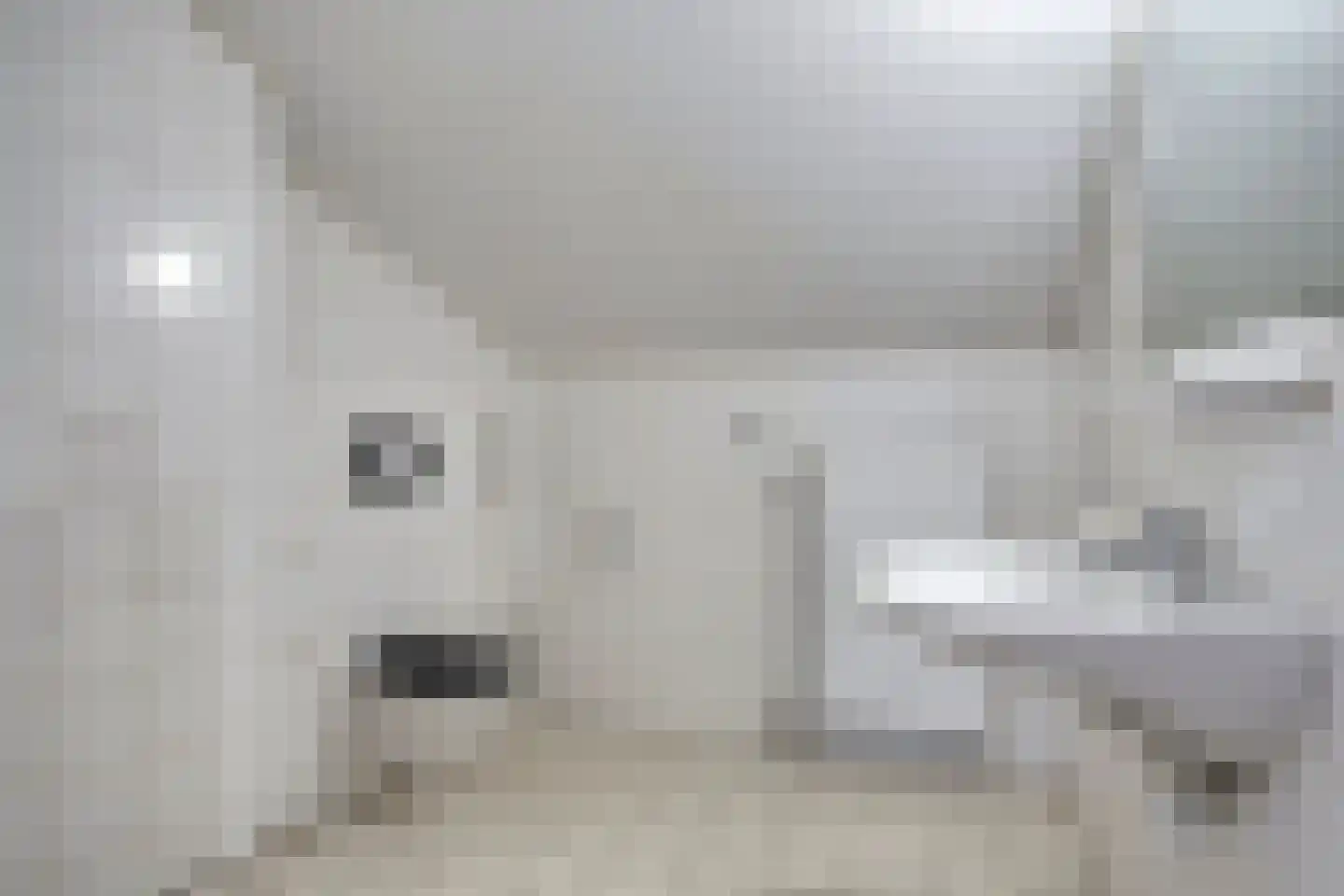 Infirmerie 24 a Grave thumbnail 16