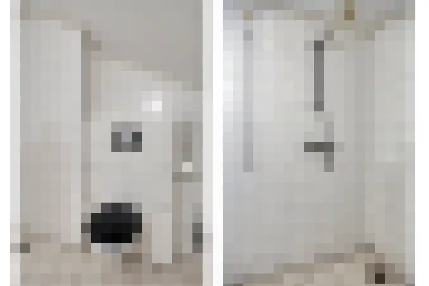Infirmerie 24 a Grave thumbnail 5