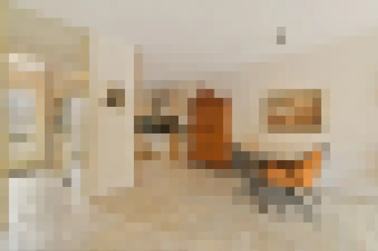 Ingeland 57 Maasland thumbnail 10