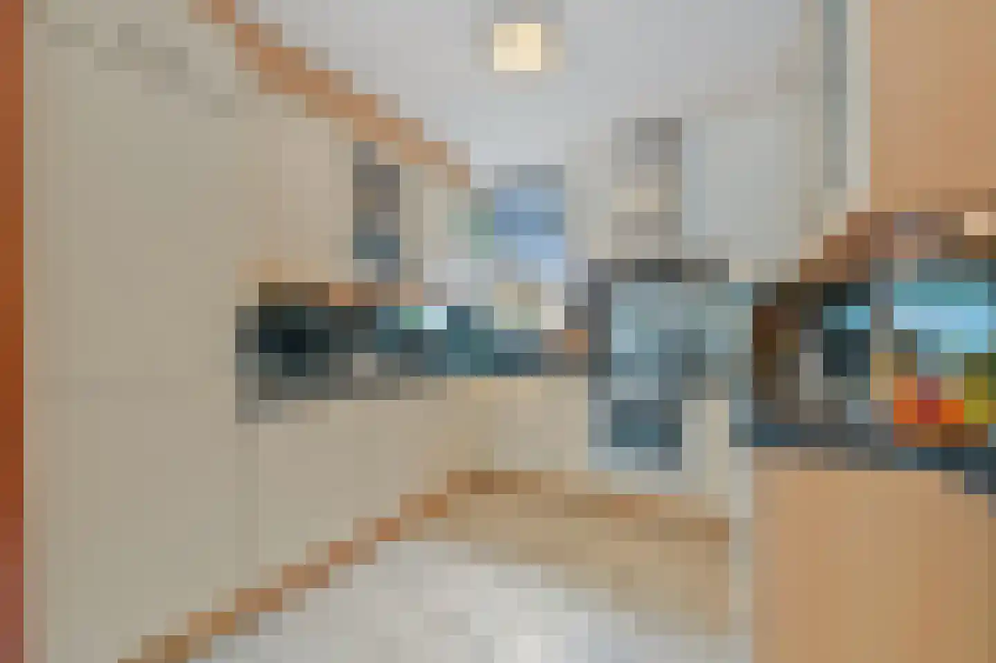 Ingeland 57 Maasland thumbnail 12