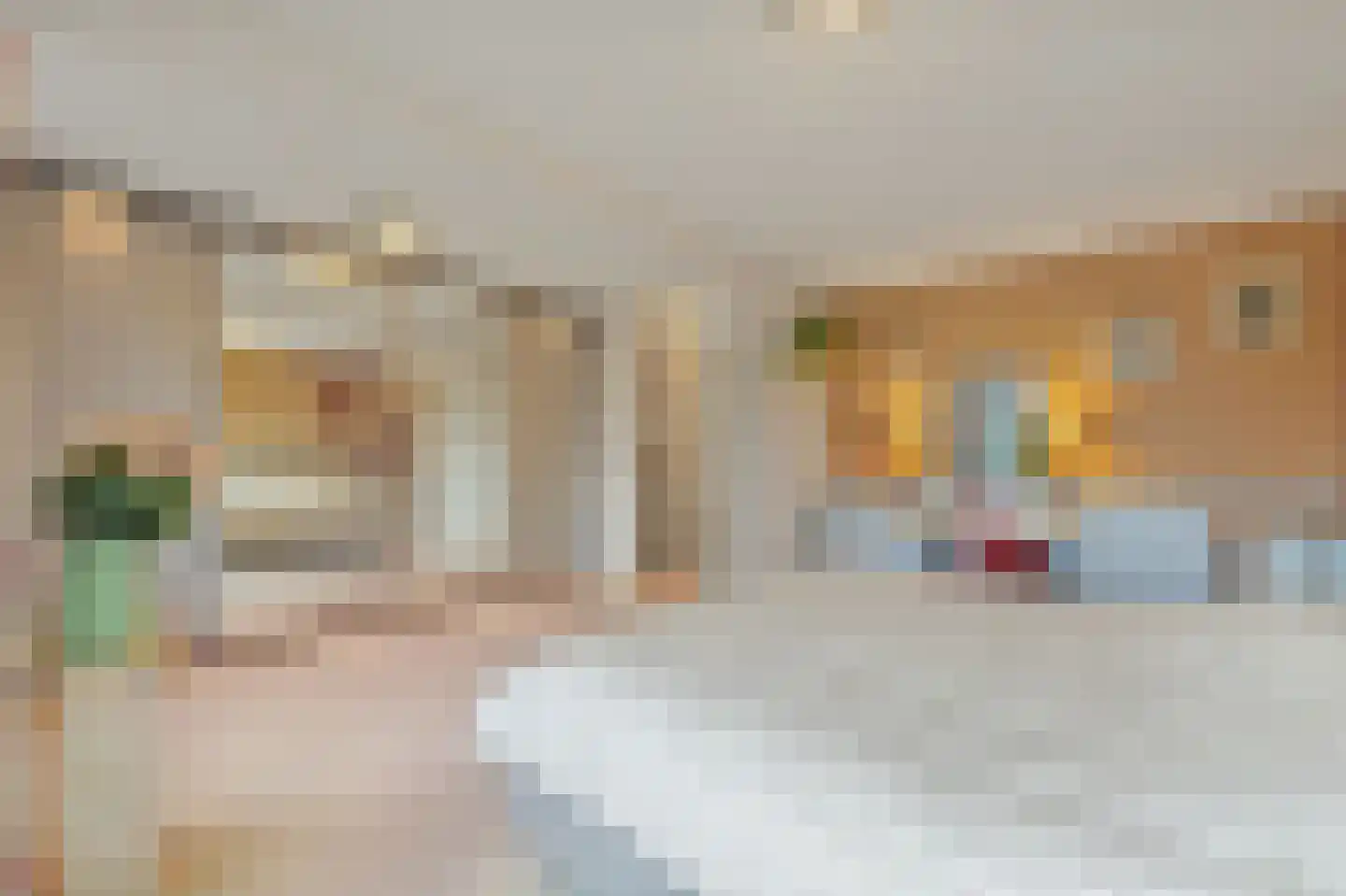 Ingeland 57 Maasland thumbnail 22