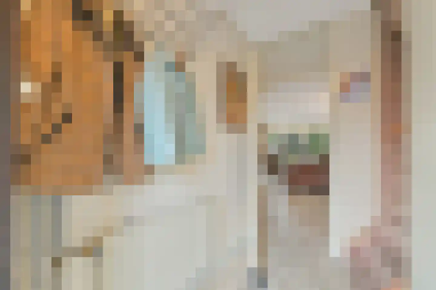 Ingeland 57 Maasland thumbnail 5