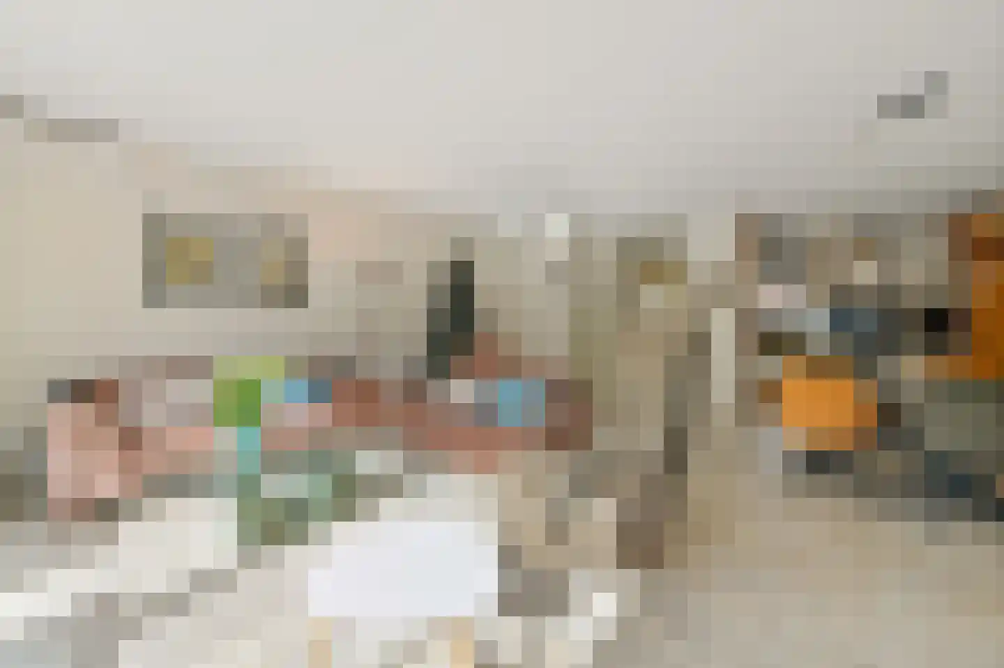 Ingeland 57 Maasland thumbnail 8