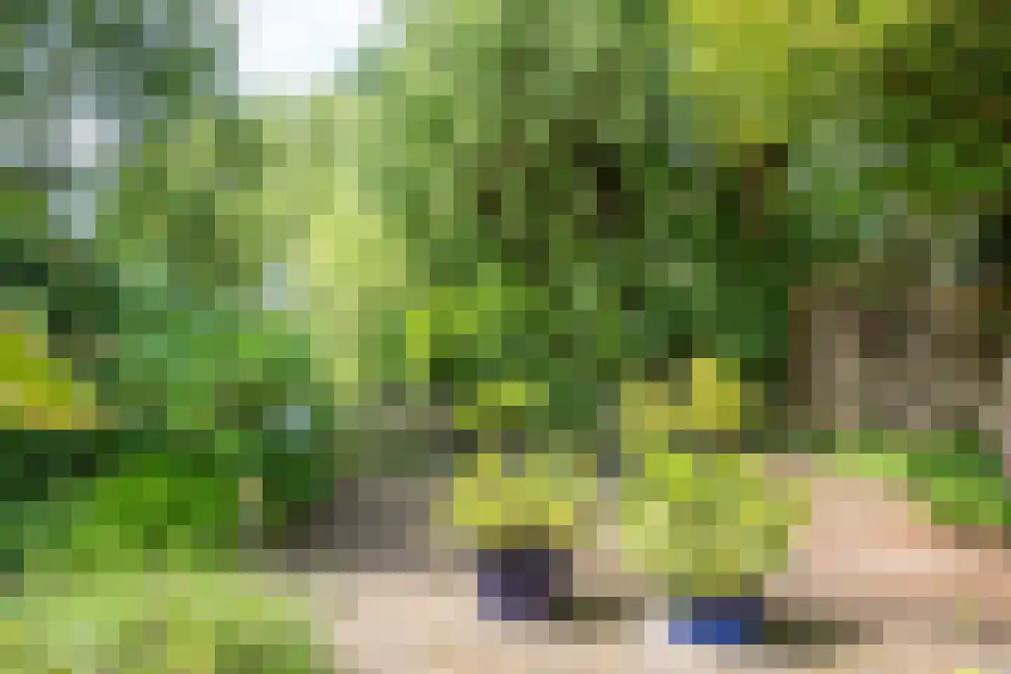 Ingelandslag 15 Gouda thumbnail 31
