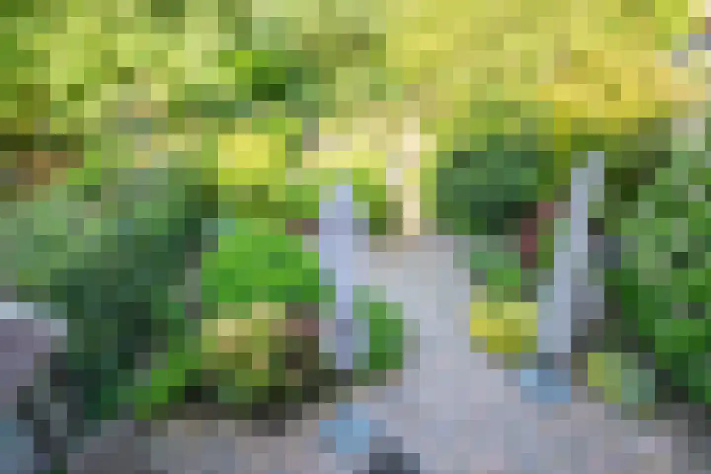 Ingelandslag 15 Gouda thumbnail 39