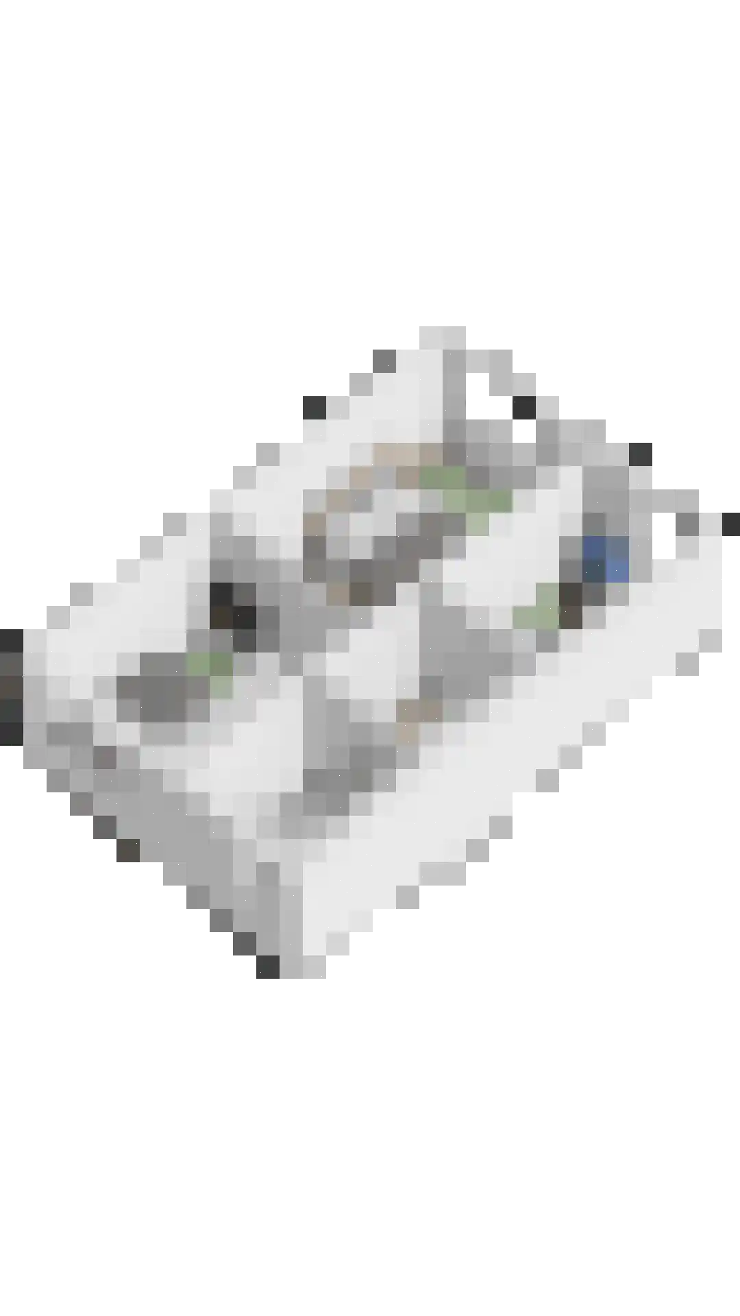 Ingelandslag 29 Gouda thumbnail 37