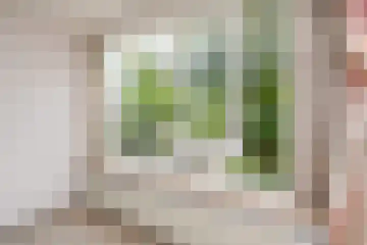 Ingelandslag 9 Gouda thumbnail 10