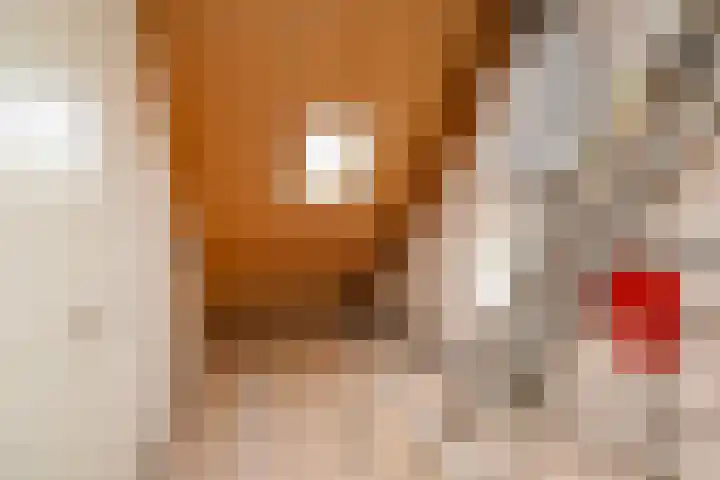 Ingelandslag 9 Gouda thumbnail 38
