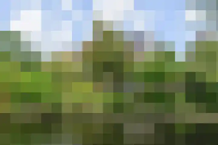 Ingelandslag 9 Gouda thumbnail 4