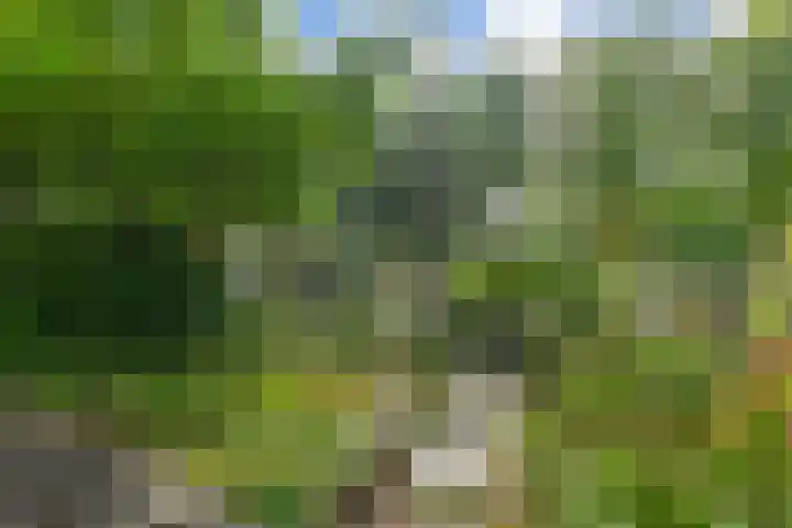 Ingelandslag 9 Gouda thumbnail 41