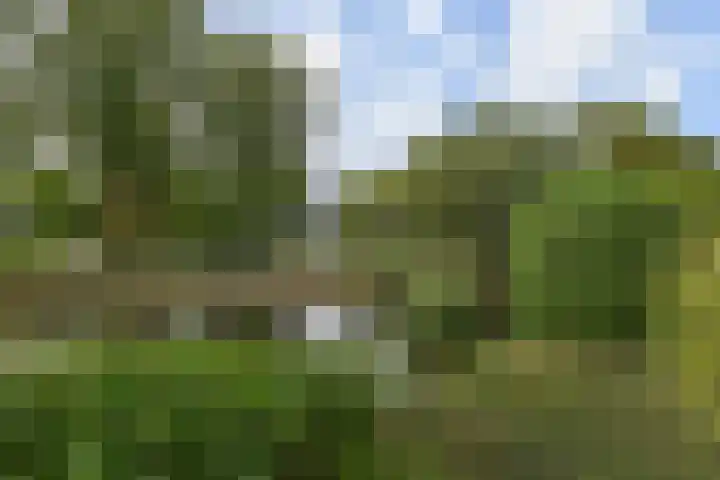 Ingelandslag 9 Gouda thumbnail 42