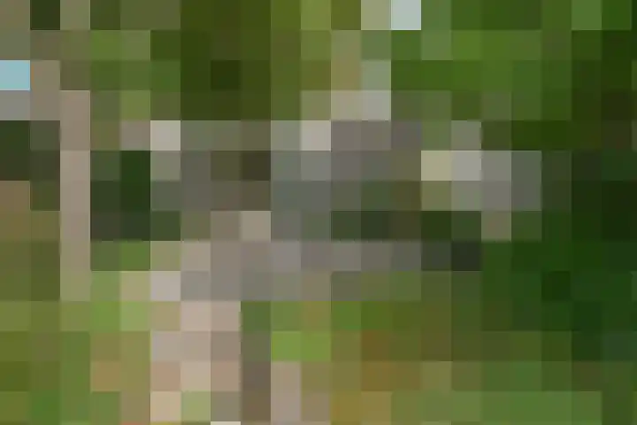 Ingelandslag 9 Gouda thumbnail 45