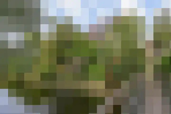 Ingelandslag 9 Gouda thumbnail 46