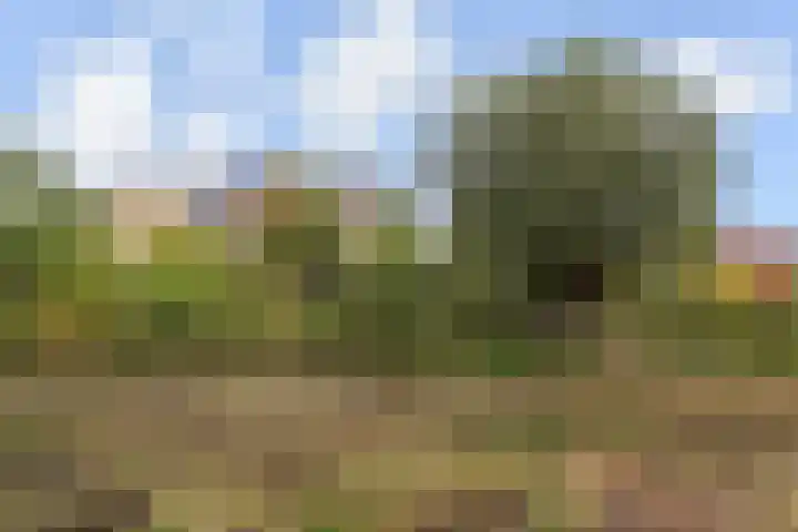 Ingelandslag 9 Gouda thumbnail 47