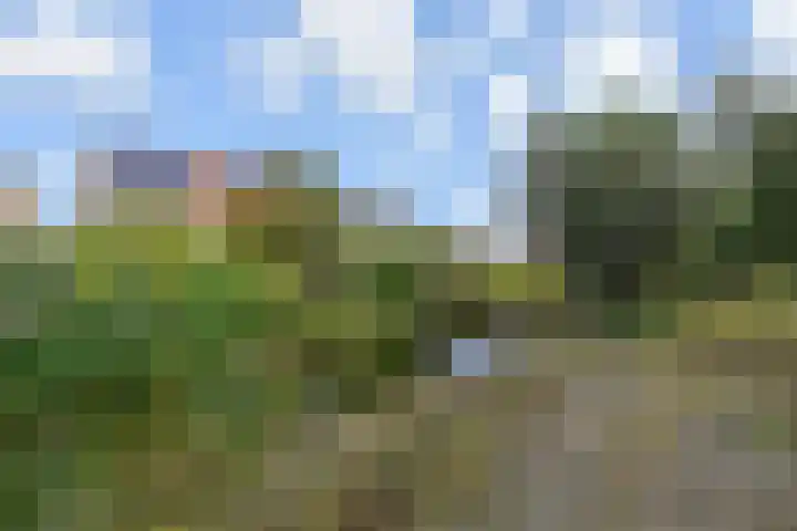Ingelandslag 9 Gouda thumbnail 48