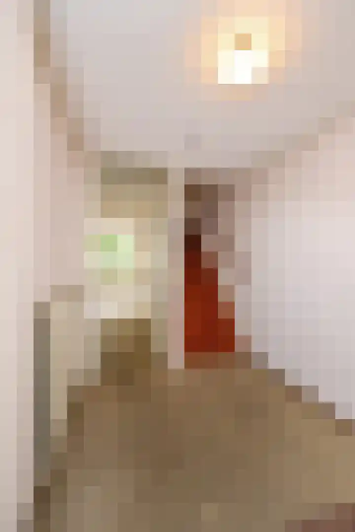 Ingelandslag 9 Gouda thumbnail 7