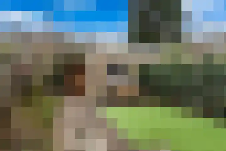 Ingelandstraat 4 Krimpen aan den IJssel thumbnail 14