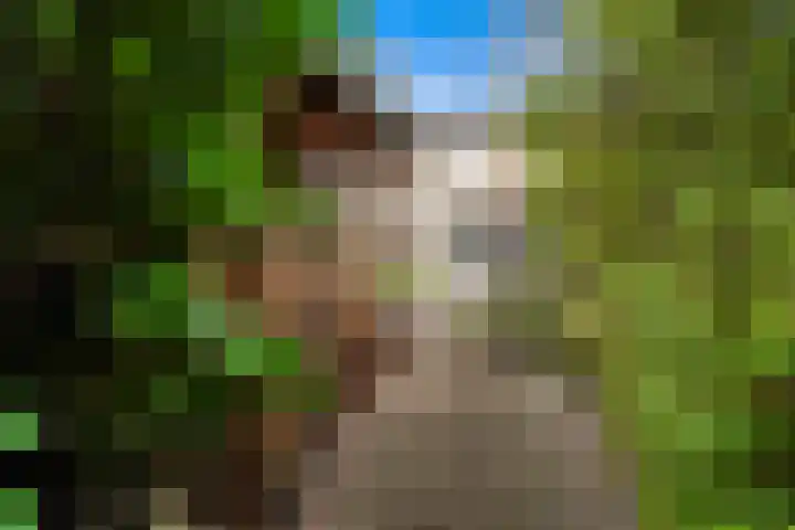 Ingelandstraat 4 Krimpen aan den IJssel thumbnail 16