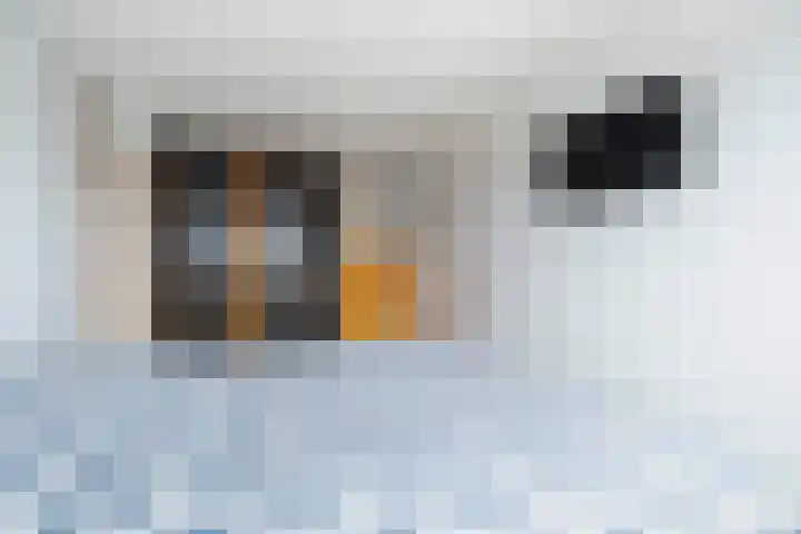 Ingelandstraat 4 Krimpen aan den IJssel thumbnail 38