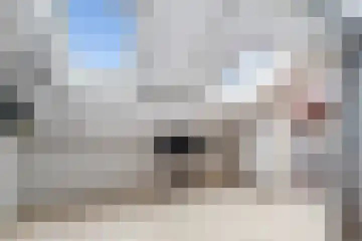 Ingelandstraat 4 Krimpen aan den IJssel thumbnail 40