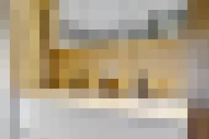 Ingelandsweide 4 Nieuwegein thumbnail 18