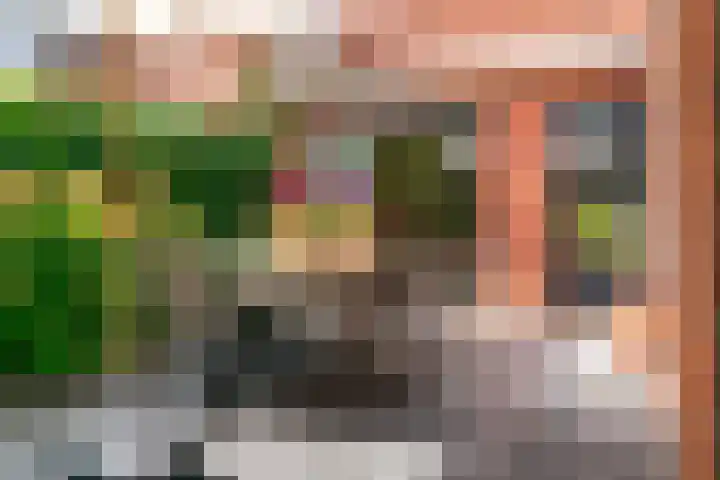 Ingelandsweide 4 Nieuwegein thumbnail 35