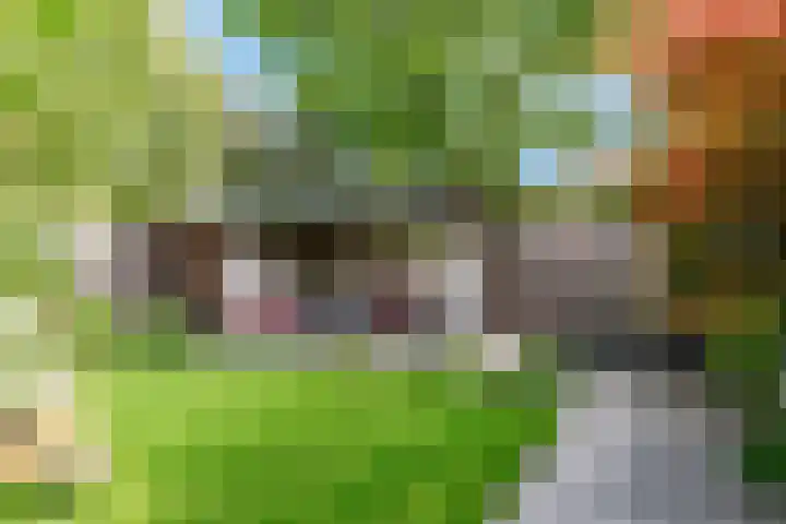 Ingelandsweide 4 Nieuwegein thumbnail 36