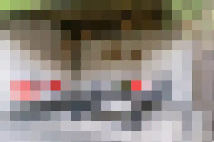 Ingelandsweide 4 Nieuwegein thumbnail 39