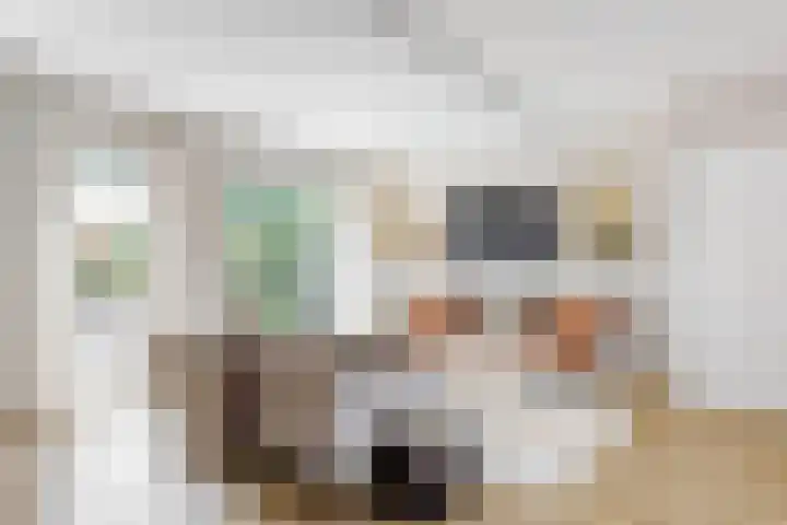 Ingelandsweide 4 Nieuwegein thumbnail 4