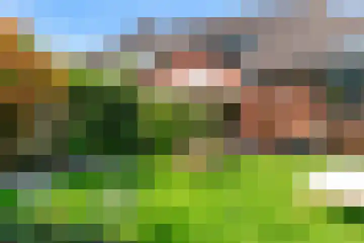Ingelandsweide 4 Nieuwegein thumbnail 43