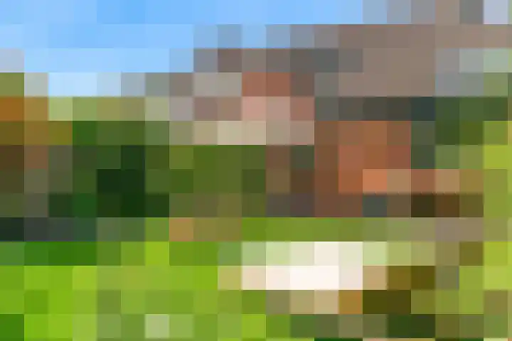 Ingelandsweide 4 Nieuwegein thumbnail 45