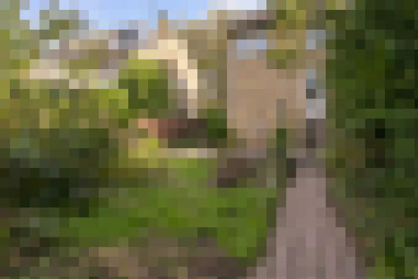 Ingelsbroek 9 Brunssum thumbnail 25