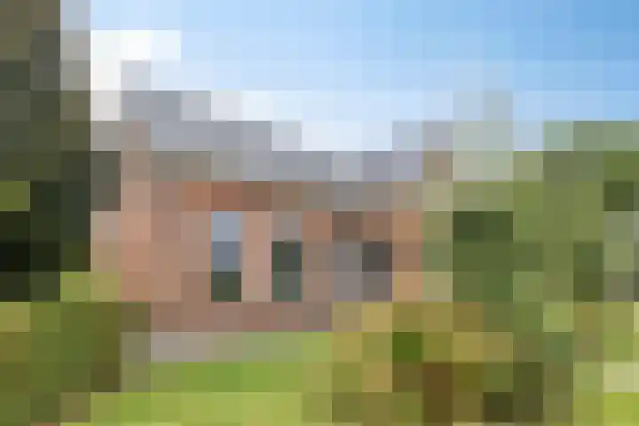 Ingelumerdyk 10 Bitgummole thumbnail 11