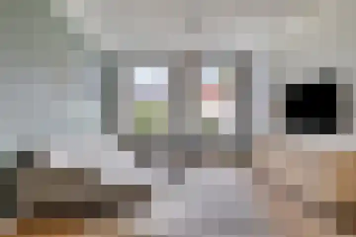 Ingelumerdyk 10 Bitgummole thumbnail 14