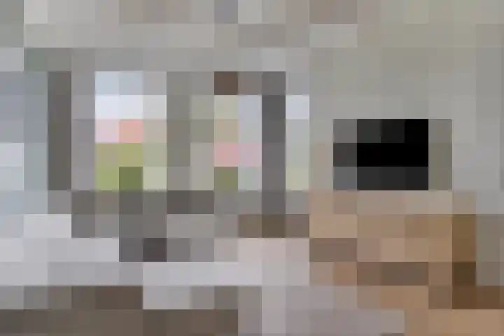 Ingelumerdyk 10 Bitgummole thumbnail 15