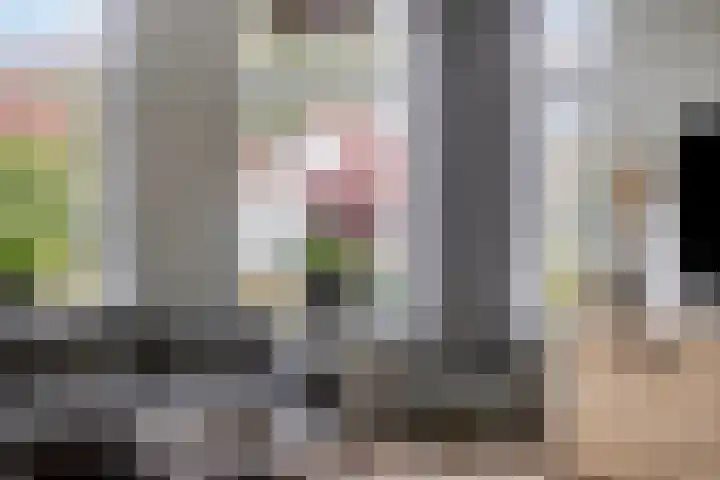 Ingelumerdyk 10 Bitgummole thumbnail 16