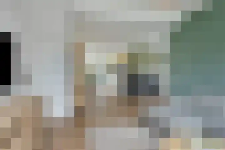 Ingelumerdyk 10 Bitgummole thumbnail 17