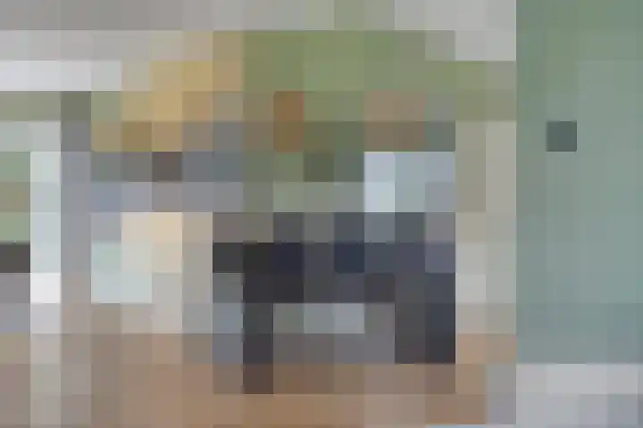 Ingelumerdyk 10 Bitgummole thumbnail 23
