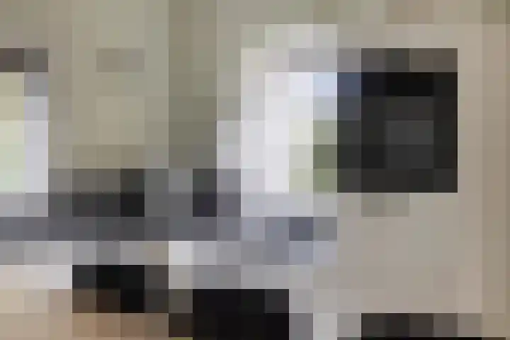 Ingelumerdyk 10 Bitgummole thumbnail 25