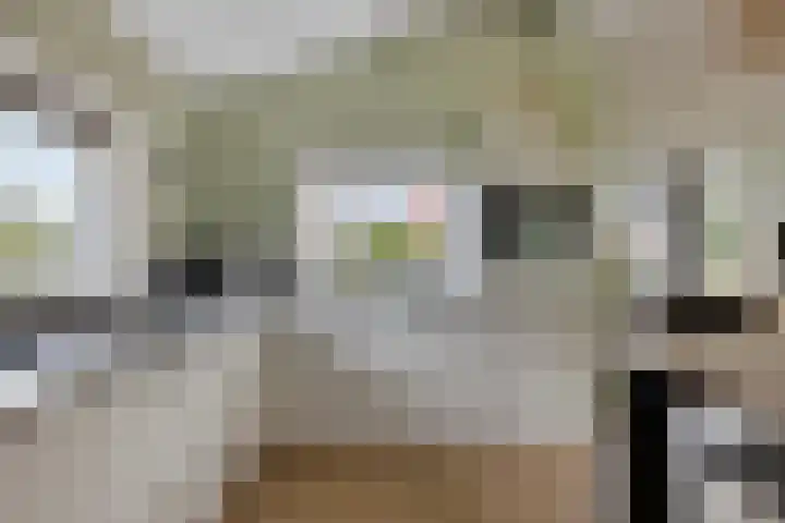 Ingelumerdyk 10 Bitgummole thumbnail 26