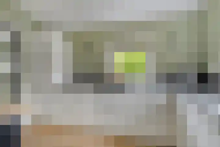 Ingelumerdyk 10 Bitgummole thumbnail 28