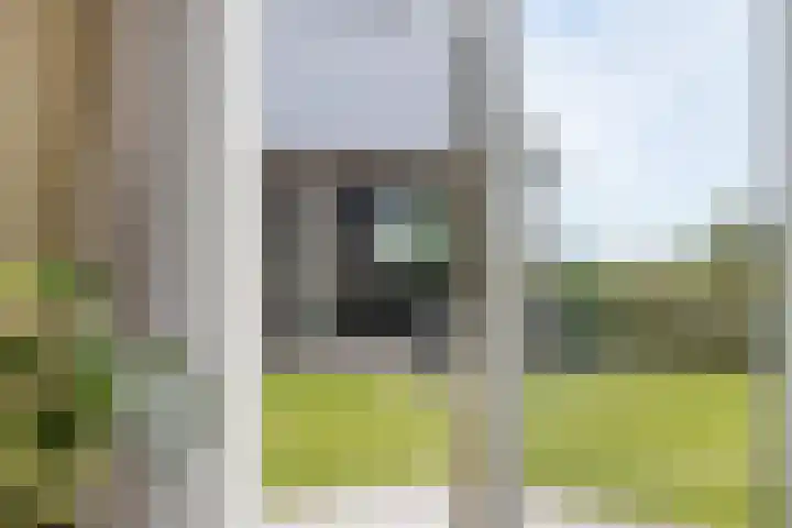 Ingelumerdyk 10 Bitgummole thumbnail 29
