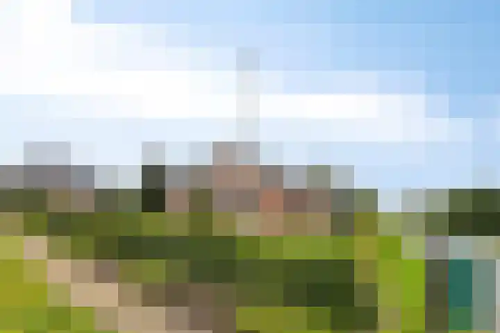 Ingelumerdyk 10 Bitgummole thumbnail 4