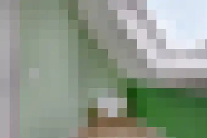 Ingelumerdyk 10 Bitgummole thumbnail 48