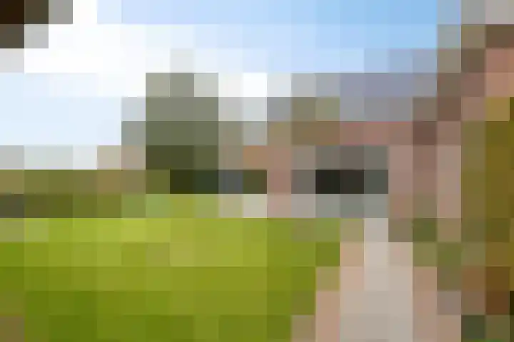 Ingelumerdyk 10 Bitgummole thumbnail 50