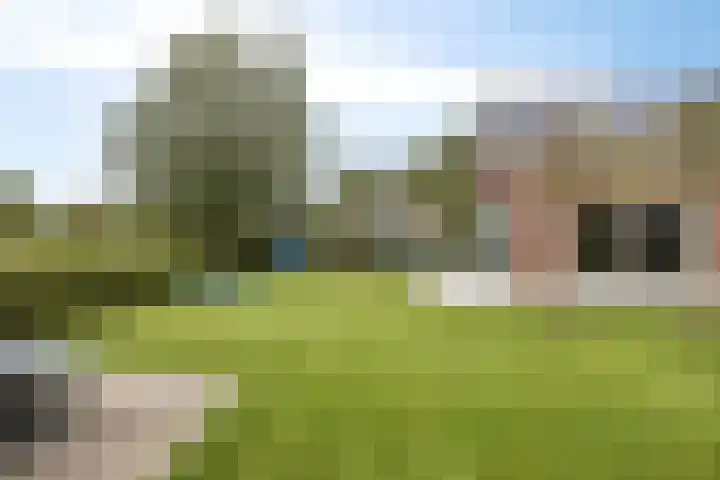 Ingelumerdyk 10 Bitgummole thumbnail 51