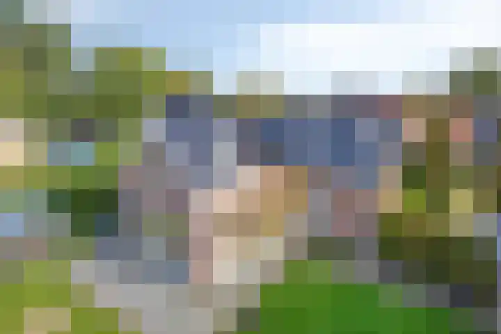 Ingelumerdyk 10 Bitgummole thumbnail 52