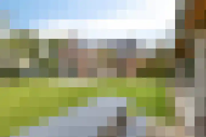 Ingelumerdyk 10 Bitgummole thumbnail 53