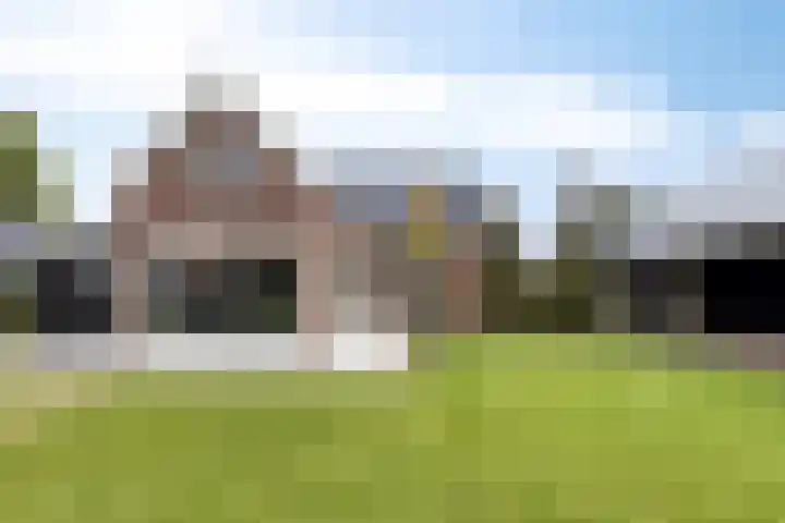 Ingelumerdyk 10 Bitgummole thumbnail 56